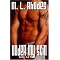 Gay and M/M romance I have read - List 6