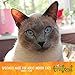 Wellness Trufood Baked Blends Natural Grain Free Dry Raw Indoor Cat Food, Chicken, 2-Pound Bag