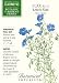 Flax Blue Lewisii Seeds