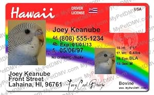 Drivers License Road Test Hawaii Drivers License Road Test Hawaii