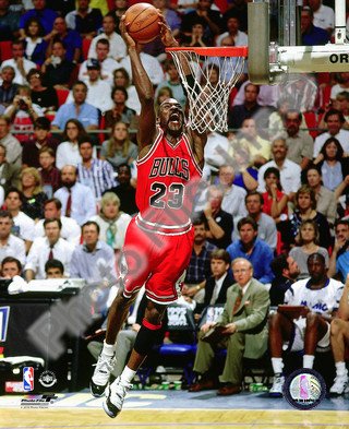 Michael Jordan 1994-95 Action - Chicago Bulls NBA 8x10 Photo