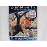 Planet Earth our Extraordinary World ~ Wildlife Wonders Coloring & Activity Book ~ Lion Cover