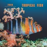 Tropical Fish 2009 Square Wall Calendar