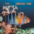 Tropical Fish 2009 Square Wall Calendar