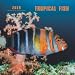 Tropical Fish 2009 Square Wall Calendar (Multilingual Edition) by BrownTrout Publishers Inc