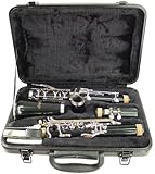 Hisonic Signature Series 2610 Bb Orchestra Clarinet with Case