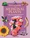 Books : Encyclopedia of Medicinal Plants: A Complete Reference of Medicinal Plants and Their Natural Healing Properties (Nature and Leisure Time Series)