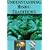 Understanding Hindu Traditions DVD