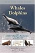 Whales, Dolphins, and Other Marine Mammals of the World (Princeton Field Guides)