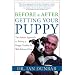 Before and After Getting Your Puppy: The Positive Approach to Raising a Happy, Healthy, and Well-Behaved Dog