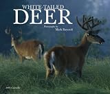 White-tailed Deer Deluxe 2005 Calendar