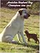 Anatolian Shepherd Dog Champions, 2004-2011