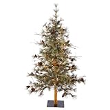 Vickerman 22434 - 5' Dakota Alpine 100 Clear Lights Christmas Tree (B115451)