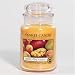 Yankee Candle Mango Peach Salsa 22 oz