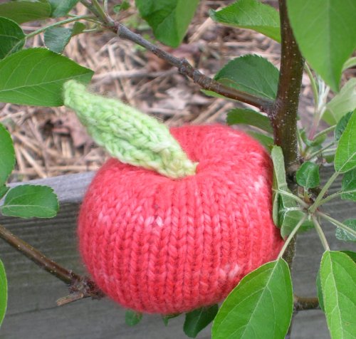 Perfectly Knitted Apple