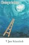 Climbing to the Moon