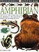 Amphibian