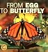 From Egg to Butterfly (Start to Finish)