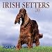 Irish Setters 2001 Calendar