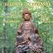 Radical Acceptance: Guided Meditations