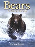Bears: A Year in the Life