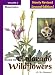 Guide To Colorado Wildflowers: Mountains (guide To Colorado Wildflowers. Vol 2. Mountains)