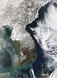 Wallmonkeys Peel and Stick Wall Decals Snow in Korea. 24H x 18W Removable Graphic 51NDVch30lL. SL160 Wallmonkeys Peel and Stick Wall Decals Snow in Korea. 24H x 18W Removable Graphic