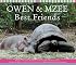 Best Friends (Owen And Mzee)