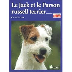 Le Jack et le Parson Russell Terrier