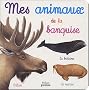 Mes animaux de la banquise
