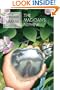 The Magician's Nephew (Narnia)
