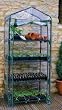 Gardman Rainbow Garden R687 4-Tier Mini Greenhouse