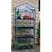Gardman Rainbow Garden R687 4-Tier Mini Greenhouse
