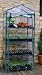 Gardman Rainbow Garden R687 4-Tier Mini Greenhouse