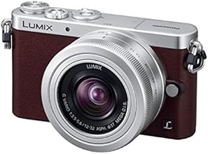 Panasonic ミラーレス一眼カメラ GM1S レンズキット ブラウン DMC-GM1SK-T