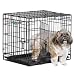 Midwest iCrate Double-Door Folding Metal Dog Crate, 42 Inches by 28 Inches by 30 Inches