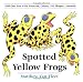 Spotted Yellow Frogs: Fold-out Fun with Patterns, Colors, 3-D Shapes, Animals