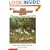 Baby-Sitter's Summer Vacation (Baby-Sitters Club Super Special, 2)