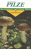 Produkt-Bild: Heimische Pilze. Bestimmen auf einen Blick mit Faltplan
