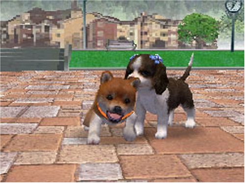 nintendogs 柴&フレンズ
