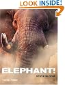 Elephant!