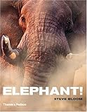 Elephant!