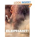Elephant!