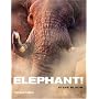 Elephant!