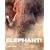 Elephant!