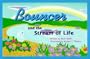 Bouncer and the Stream of Life