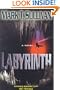 Labyrinth: A Novel