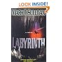 Labyrinth: A Novel