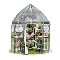 10x9 Flower Conservatory Clear w/Green Piping
