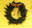Fresh, Handmade Eucalyptus Wreath, 12-13 inches